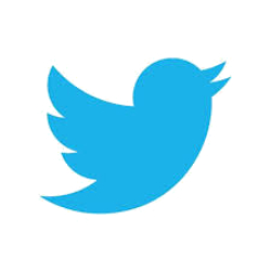 logo Twitter principaòe