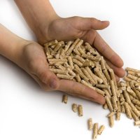 perchè scegliere pellet principale