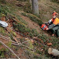 Verricello forestale per motosega principale